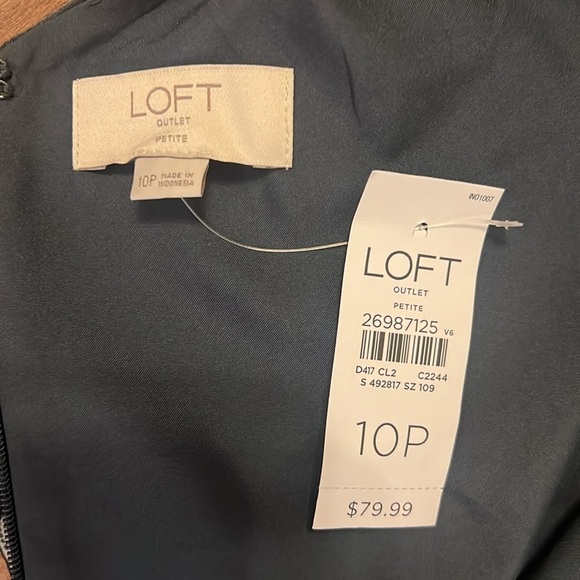 NWT Ann Taylor Loft Cotton Dress, Sz. 10P. - Picture 5 of 11